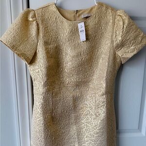 LOFT Gold Textured Dress ( Size 6) NEW